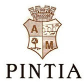 Pintia  logo