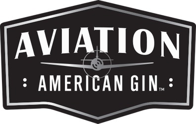 Aviation logo