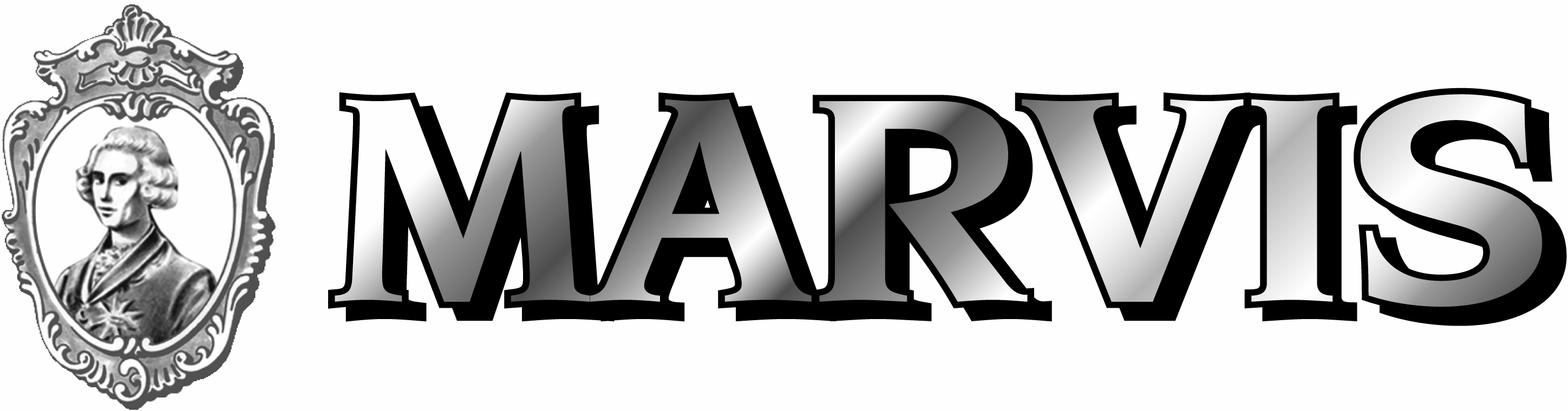 MARVIS logo